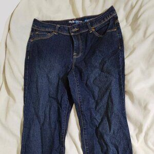 Style & Co Jeans Petites Straight Leg